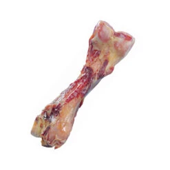 Nobby Parmabeen 20 Nobby Parmabeen -Honden Benodigdheden Winkel nobby parmabeen 130628 1000 none