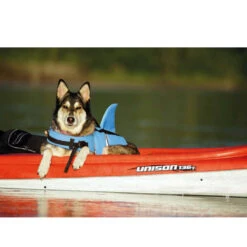 Nobby Sharki Hondenzwemvest 27 Nobby Sharki Hondenzwemvest -Honden Benodigdheden Winkel nobby sharki hondenzwemvest 221666 1000 none