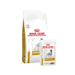 Royal Canin Urinary S/O Hond 17 Royal Canin Urinary S/O Hond -Honden Benodigdheden Winkel pKr2QW26HITOmnU3wv8XWbXxSAelpr metacGx1cy1tYWFsdGlqZC5wbmc