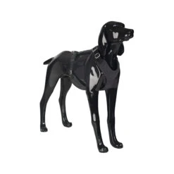 PAIKKA Visibility Harness 21 PAIKKA Visibility Harness -Honden Benodigdheden Winkel paikka visibility harness dark m 134559 2000 none