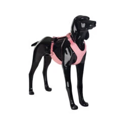 PAIKKA Visibility Harness 29 PAIKKA Visibility Harness -Honden Benodigdheden Winkel paikka visibility harness pink xl 134564 2000 none