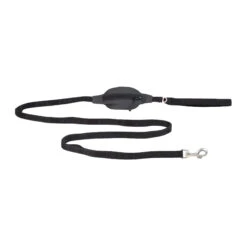 PAIKKA Visibility Leash -Honden Benodigdheden Winkel paikka visibility leash 217817 2000 none