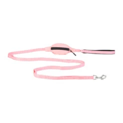 PAIKKA Visibility Leash -Honden Benodigdheden Winkel paikka visibility leash 217821 2000 none