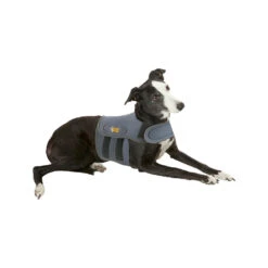 Petlife KarmaWrap Hond -Honden Benodigdheden Winkel petlife karmawrap hond 154186 1000 none