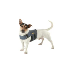 Petlife KarmaWrap Hond -Honden Benodigdheden Winkel petlife karmawrap hond 154189 1000 none