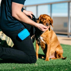 Popware Pooch Pouch Treatbag 11 Popware Pooch Pouch Treatbag -Honden Benodigdheden Winkel popware pooch pouch treatbag 164698 2000 none