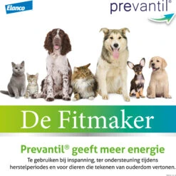 Bayer Prevantil 10 Bayer Prevantil -Honden Benodigdheden Winkel prevantil 195257 2000 none