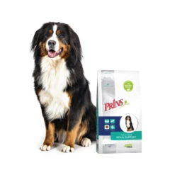 Prins ProCare Croque Renal Support -Honden Benodigdheden Winkel prins procare croque renal support 171433 1500 none