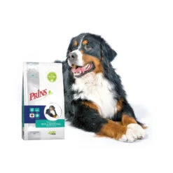 Prins ProCare Croque Skin & Intestinal Hypoallergic -Honden Benodigdheden Winkel prins procare croque skin intestinal hypoallergic 171451 1500 none