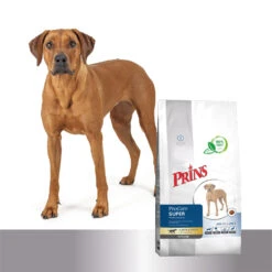 Prins ProCare Croque Super Performance 12 Prins ProCare Croque Super Performance -Honden Benodigdheden Winkel prins procare croque super performance 171379 1500 none