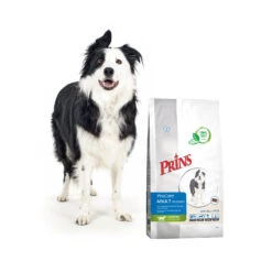 Prins ProCare Grainfree Adult Pro Energy 11 Prins ProCare Grainfree Adult Pro Energy -Honden Benodigdheden Winkel prins procare grainfree adult pro energy 171502 1500 none