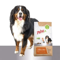Prins ProCare Lamb & Rice Hypoallergenic -Honden Benodigdheden Winkel prins procare lamb rice hypoallergenic 171556 1500 none