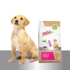 Prins ProCare Puppy & Junior Perfect Start 13 Prins ProCare Puppy & Junior Perfect Start -Honden Benodigdheden Winkel prins procare puppy junior perfect start 171601 1500 none