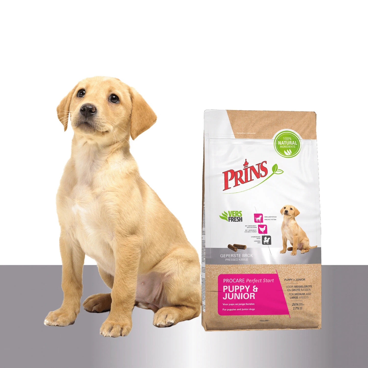 Prins ProCare Puppy & Junior Perfect Start 5 Prins ProCare Puppy & Junior Perfect Start - Afbeelding 5