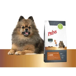 Prins Protection Croque Mini Lamb Hypoallergenic -Honden Benodigdheden Winkel prins protection croque mini lamb hypoallergenic 172102 1500 none