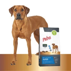 Prins Protection Croque Super Performance -Honden Benodigdheden Winkel prins protection croque super performance 172048 1500 none