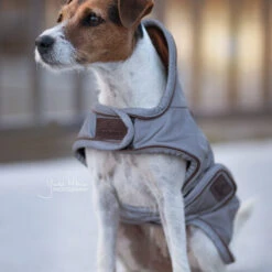 Kentucky Dog Coat Reflective & Waterrepellent -Honden Benodigdheden Winkel prod 15746 219013 0500 none