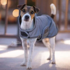 Kentucky Dog Coat Reflective & Waterrepellent -Honden Benodigdheden Winkel prod 15746 219014 0500 none