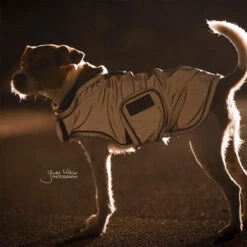 Kentucky Dog Coat Reflective & Waterrepellent -Honden Benodigdheden Winkel prod 15746 219015 0500 none