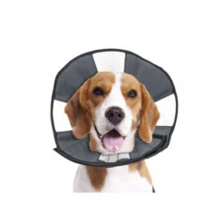 ZenPet Zen Collar -Honden Benodigdheden Winkel prod 5332 89013 0500 none