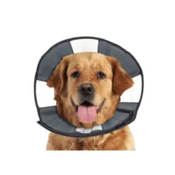 ZenPet Zen Collar -Honden Benodigdheden Winkel prod 5332 89025 0500 none