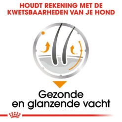 Royal Canin Coat Care Wet - Hondenvoer 15 Royal Canin Coat Care Wet - Hondenvoer -Honden Benodigdheden Winkel prod 8914 131822 1000 none