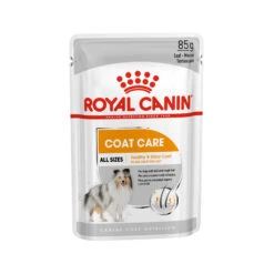 Royal Canin Coat Care Wet - Hondenvoer 12 Royal Canin Coat Care Wet - Hondenvoer -Honden Benodigdheden Winkel prod 8914 131858 2000 none