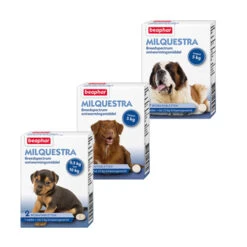 Beaphar Milquestra Hond 11 Beaphar Milquestra Hond -Honden Benodigdheden Winkel product beaphar milquestra hond none 4 1463566026 68931