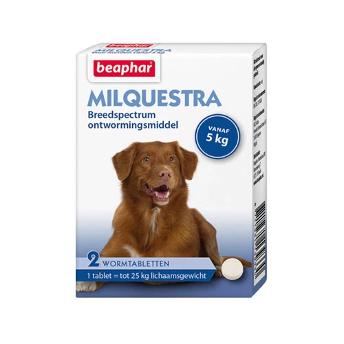 Beaphar Milquestra Hond 6 Beaphar Milquestra Hond - Afbeelding 6