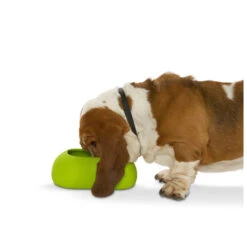 Buster Incredibowl -Honden Benodigdheden Winkel product buster incredibowl none 4 1479720007 80827