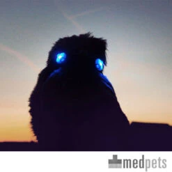 Curli Luumi -Honden Benodigdheden Winkel product curli luumi none 4 1497346293 87283