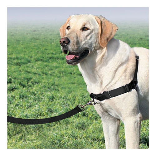 PetSafe Easywalk Tuigje 14 PetSafe Easywalk Tuigje - Afbeelding 14