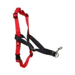 Halti Harnas -Honden Benodigdheden Winkel product halti harnas none 4 1469182829 71683