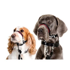 Halti OptiFit Headcollar -Honden Benodigdheden Winkel product halti optifit headcollar none 4 1488363919 83950