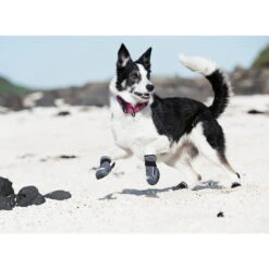 Hurtta Outback Boots -Honden Benodigdheden Winkel product hurtta outback boots none 4 1478786124 80266