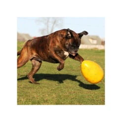 Jolly Egg -Honden Benodigdheden Winkel product jolly egg none 4 1496839893 86965