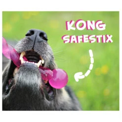 KONG Safestix -Honden Benodigdheden Winkel product kong safestix none 4 1458633926 66969