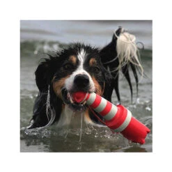 Rogz Lighthouse -Honden Benodigdheden Winkel product rogz lighthouse none 4 1485526267 82936