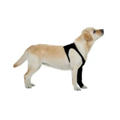 Suitical Recovery Sleeve -Honden Benodigdheden Winkel product suitical recovery sleeve none 4 1462354748 68630