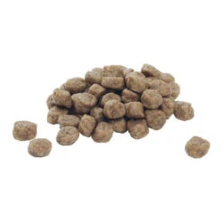 Purina Pro Plan Dog Adult - Large Breed -Honden Benodigdheden Winkel purina pro plan dog adult large breed 113498 0500 none