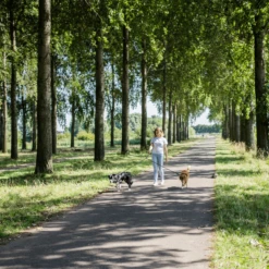 Rebel Petz Verstelbare Duo Riem -Honden Benodigdheden Winkel rebel petz verstelbare duo riem 208532 2000 none