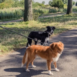 Rebel Petz Verstelbare Duo Riem -Honden Benodigdheden Winkel rebel petz verstelbare duo riem 208541 2000 none