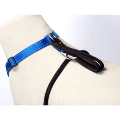 Rogz Beltz Utility Stop Pull Hondentuig -Honden Benodigdheden Winkel rogz beltz utility stop pull hondentuig 220236 2000 none