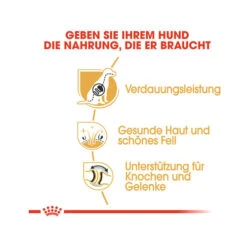 Royal Canin German Shepherd Adult - Hondenvoer -Honden Benodigdheden Winkel royal canin german shepherd adult hundefutter 1