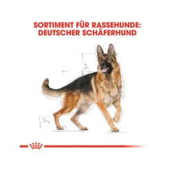 Royal Canin German Shepherd Adult - Hondenvoer -Honden Benodigdheden Winkel royal canin german shepherd adult hundefutter 3
