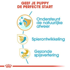 Royal Canin Boxer Puppy - Hondenvoer -Honden Benodigdheden Winkel royal canin boxer puppy hondenvoer 137488 1000 none