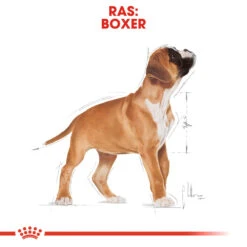 Royal Canin Boxer Puppy - Hondenvoer -Honden Benodigdheden Winkel royal canin boxer puppy hondenvoer 137497 1000 none