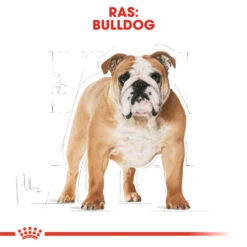 Royal Canin Bulldog Adult - Hondenvoer -Honden Benodigdheden Winkel royal canin bulldog adult hondenvoer 159761 1000 none