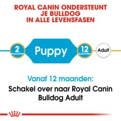Royal Canin Bulldog Puppy - Hondenvoer -Honden Benodigdheden Winkel royal canin bulldog puppy hondenvoer 137791 1000 none
