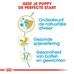 Royal Canin Bulldog Puppy - Hondenvoer -Honden Benodigdheden Winkel royal canin bulldog puppy hondenvoer 137809 1000 none